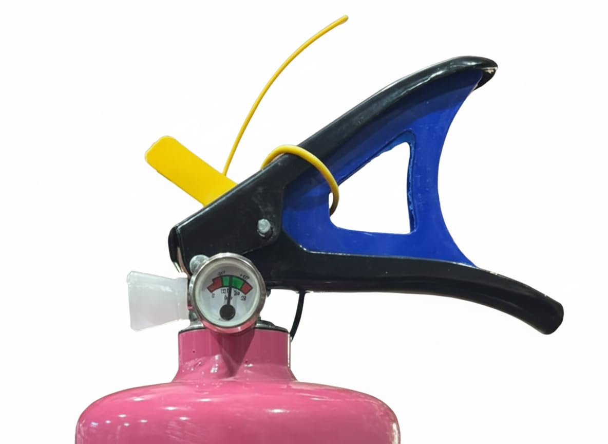 HOLI COLOUR CYLINDER
