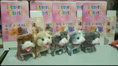 FUR CARTOON CAT